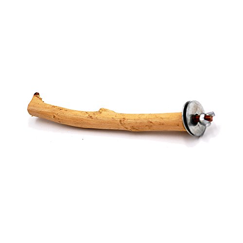 Borange Bird Perch Parrot Perches Natural Wood Branches for Parakeets for Small Large Birds Cockatiel Conure Cage Accessory (15cm/6 inch) - Thumbnail 5