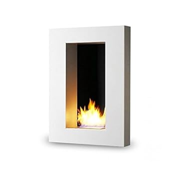 cheminee ethanol nina