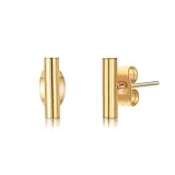 OSIANA Stud Earrings - Womens Titanium Stainless Steel Planted Glod Minimalist Earrings in Gift Box 01-Stud
