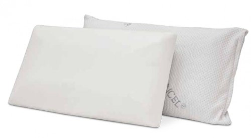 coconut memory foam pillow