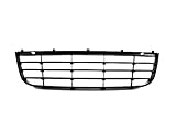06-09 MK5 GTI / Jetta / GLI Front Lower Center Slat Grille - Black (2006 2007 2008 2009)