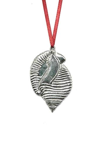 North-Carolina-Scotch-Bonnet-Ornament-for-Christmas-Tree-Metal-NC-State-Seashell-Beach-Lover-Gift-Ideas 31lZ%2BUH nJL