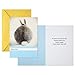 Hallmark (HALLV) Hallmark Shoebox Funny Easter Cards Assortment with Envelopes, 6 Cards, Shoebox
