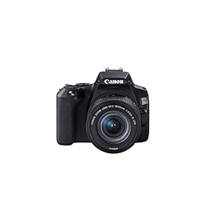 Canon EOS 250D DSLR Camera Body – Black