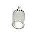 ZENRA 38x25mm Clear Tube Glass Globe Bottle with findings Hollow Glass Dome, Glass Vial Pendant Charms - 10pcs (Silver Ordinary Base)