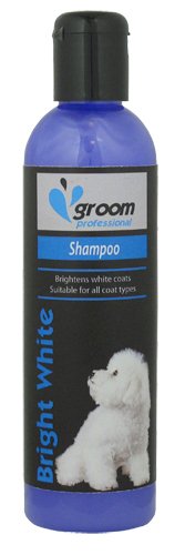 bichon frise shampoo