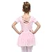 STELLE Toddler/Girls Cute Tutu Dress Ballet Leotard for Dance