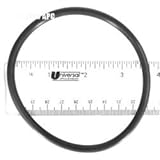 Hayward CLX110K Special Composition Viton O-Ring Cover Replacement for Hayward Chlorine Chemical Feeder