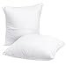 HIPPIH 18 x 18 Pillow Inserts Set of 2, Hypoallergenic Decorative Square Pillow Form Insert with Zips, White