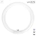 Luxrite LR20580 (4-Pack) FC12T9/CW 32-Watt 12 INCH T9 Fluorescent Circular Light Bulb, Cool White 4100K, 1700 Lumens, G10Q 4-Pin Base