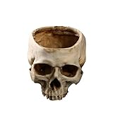 Xinhuaya Retro Human Skull Head Flower Pot Planter Bed Box Container Replica Home Bar Decor