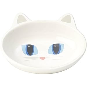 PetRageous Oval Frisky Kitty Stoneware Cat Bowl 5.5-Inch Wide and 1.5-Inch Tall Saucer with 5.3-Ounce Capacity and…