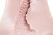 Male Masturbator Cup, Powerful Thrusting Automatic Male Masturbation Cup Electric Sex Toys for Men 3D Realistic Lifelike Vibrating Piston Multi Modes (Masturbator4)