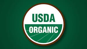 ORGANIC Deglet Noor Pitted Dates Grown in California OU Kosher