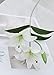 LNHOMY 6 Pack Artificial Lily Flowers Full Bloom Fake Latex Real Touch Artificial Flower Bouquets with 3 Heads Wedding Party Decor Home Decor, (White)