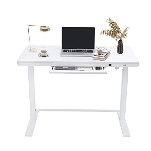 FARRAY Electric Standing Desk with Drawer, 45 x 24 Inch Adjustable