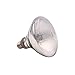 Mega-Ray Mercury Vapor Bulb (100, Watts)