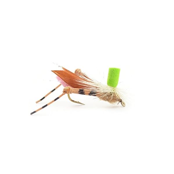 6-Foam-Body-Hopper-Grasshopper-Trout-Fly-Fishing-Flies-Assortment-6-Flies-3-Patterns-Hook-Size-10-Trout-Fly-Collection 6-Foam-Body-Hopper-Grasshopper-Trout-Fly-Fishing-Flies-Assortment-6-Flies-3-Patterns-Hook-Size-10-Trout-Fly-Collection