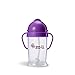 ZoLi BOT XL Straw Sippy Cup - Purple 9 oz