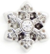 Cherityne Silver Toned Snowflake with Rhinestone Floating Charm for Locket Pendants
