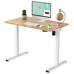 FLEXISPOT Adjustable Height Desk 40 x 24 Inches