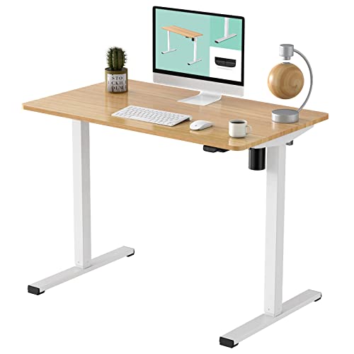 FLEXISPOT Adjustable Height Desk 40 x 24 Inches