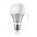 Elrigs A19 Color Changing LED Bulb E26 Base RGB + 5W (40W Equivalent) Cool White (6000K), 230° Beam Angle, Remote Controller Included