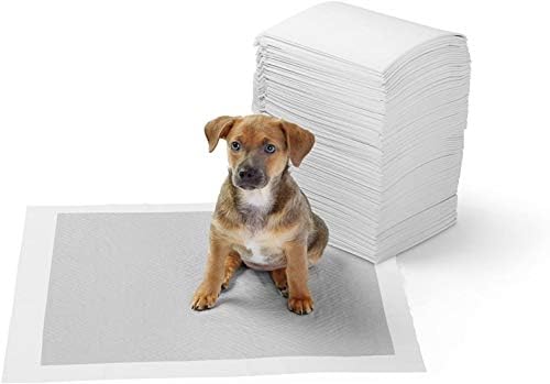 amazon pet supplies dogs
