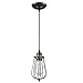 YOBO Lighting Industrial Edison Hanging Lamps Oil Rubbed Bronze Wire Caged 1-light Mini Pendant Lights