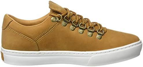 adv 2.0 cupsole alpine