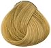 Goldwell Topchic Hair Color, #8nn Light Blonde/Extra, 2.03 oz