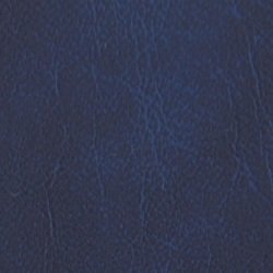 Hobbymaster Football Card Collecting Starter Kit - Album, Pages, Sleeves, Toploaders, Mini-Snap Holders and Storage Box to Store and Protect Your Sports Card Collection (Navy Blue)