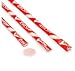 Wonka Pixy Stix Candy Powder Straws – Red: 1 LB Bag