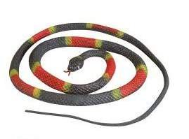 48" Fake Eastern Coral Snake