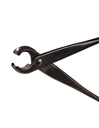 thinkbamboo Bonsai 8" cóncava Cutter, 8" Knob cortador y cepillo para polvo de bambú