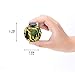 FIDGET DICE Relieves Stress and Anxiety Cube Fidget Toy with Protective Case, Camo Green