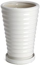 Amazon Co Jp 鉢 Kaneyoshi 陶器 6号 植木鉢 白 おしゃれ S 受皿付き Diy 工具 ガーデン