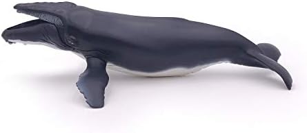 papo humpback whale