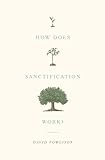 How Does Sanctification Work? by David Powlison