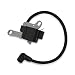 Everest Parts Supplies New Ignition Coil Compatible with Lawn Boy EM21ZPRA M21BMR M21BMRA M21BMRB M21BMRC M21BMRD