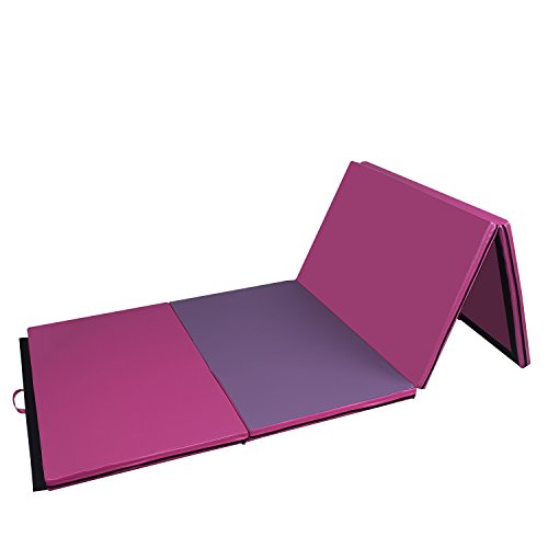 Bestmart INC Pink Adjustable (3'-5') Gymnastics Bar and 10ft Folding Mat Combo Gym Set