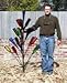 BottleTree The Southern Pine