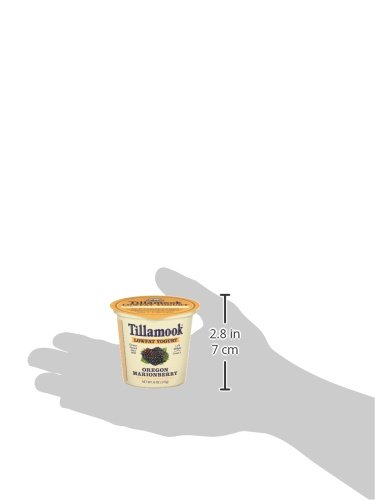 Tillamook Low Fat Yogurt, Marionberry, 6 oz