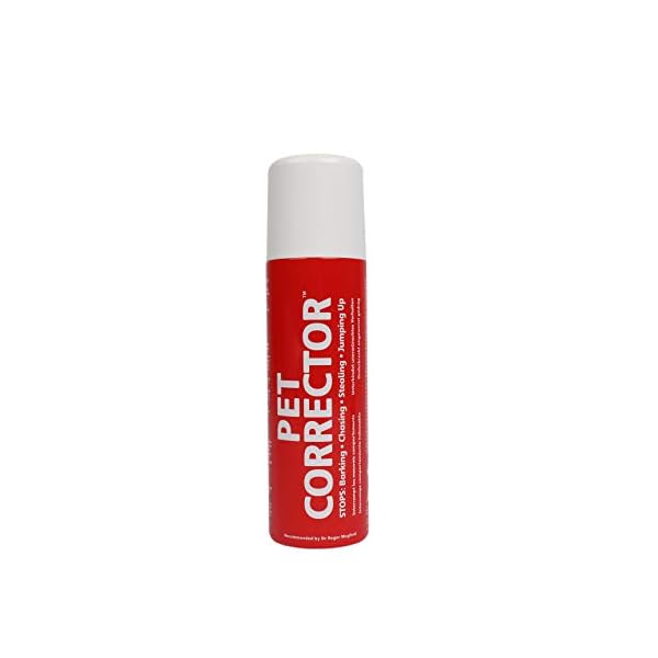 corrector spray
