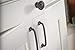 Franklin Brass Lombard (10-Pack) Cabinet Handles 5-1/16