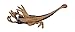 Safari Ltd Wild Safari Guanlong