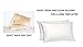 CirclesHome Pillow Protectors 2 Pack Standard Zippered - 100% Cotton Breathable Pillowcases - Protects Pillows from Dirt, Dust and Debri (Standard - Set of 2 - 20x26)