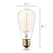 Hudson Lighting Vintage Antique Style Edison Bulb - 1 Pack - ST64 - Squirrel Cage Filament - 230 Lumens - 60 Watt - Dimmable - E26 Bulb Base - Classic Squirrel Cage Filament