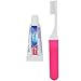 Dental Source Travel Toothbrush and Crest Toothpaste Kit, 2 Piece set