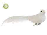 Allstate Snowy Winter Feathered White Song Bird Clip-On Christmas Ornament, 3